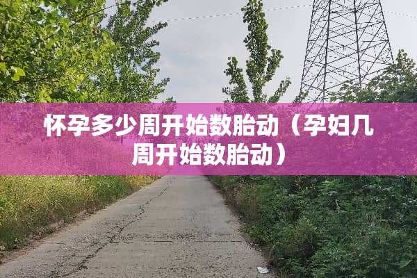 怀孕多少周开始数胎动（孕妇几周开始数胎动）