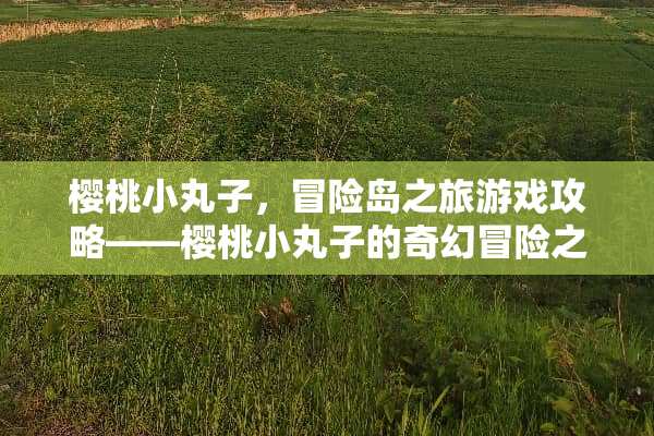 樱桃小丸子，冒险岛之旅游戏攻略——樱桃小丸子的奇幻冒险之旅 樱桃小丸子游戏攻略