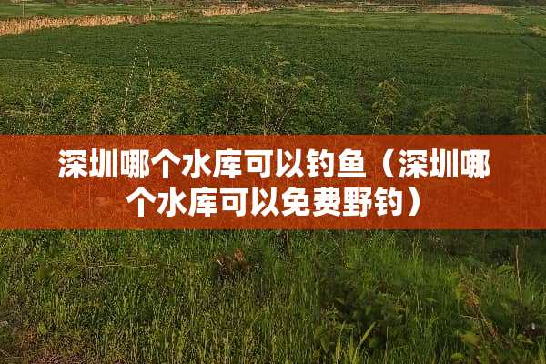 深圳哪个水库可以钓鱼（深圳哪个水库可以免费野钓）