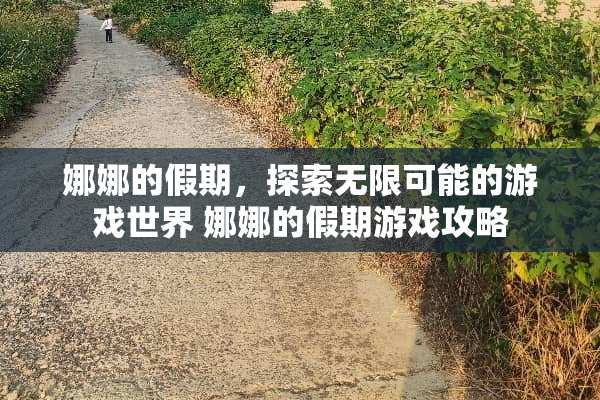 娜娜的假期，探索无限可能的游戏世界 娜娜的假期游戏攻略