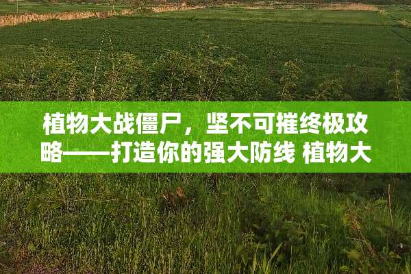 植物大战僵尸，坚不可摧终极攻略——打造你的强大防线 植物大战僵尸坚不可摧攻略