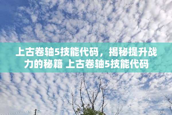 上古卷轴5技能代码，揭秘提升战力的秘籍 上古卷轴5技能代码