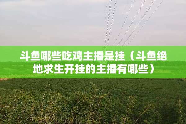 斗鱼哪些吃鸡主播是挂（斗鱼绝地求生开挂的主播有哪些）