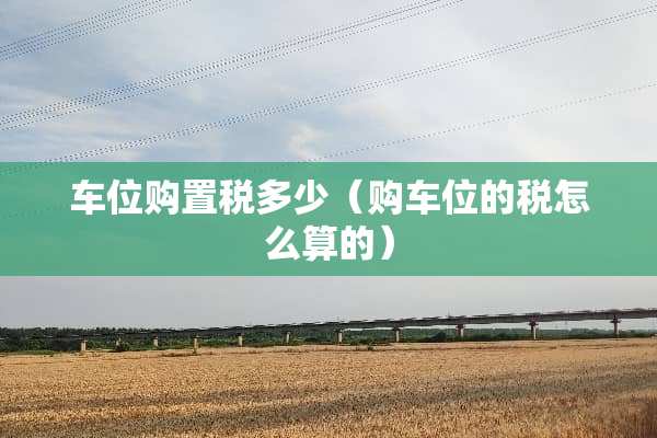 车位购置税多少（购车位的税怎么算的）
