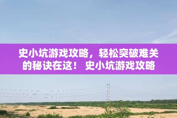 史小坑游戏攻略，轻松突破难关的秘诀在这！ 史小坑游戏攻略