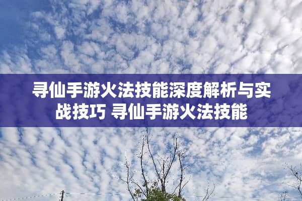 寻仙手游火法技能深度解析与实战技巧 寻仙手游火法技能