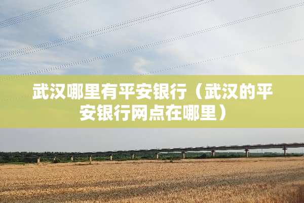 武汉哪里有平安银行（武汉的平安银行网点在哪里）