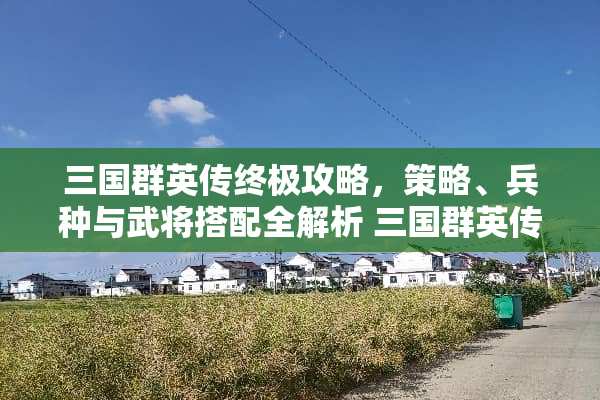三国群英传终极攻略，策略、兵种与武将搭配全解析 三国群英传游戏攻略