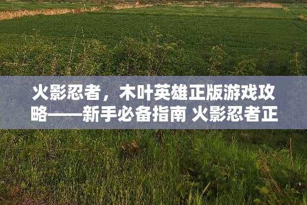 火影忍者，木叶英雄正版游戏攻略——新手必备指南 火影忍者正版游戏攻略
