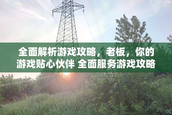 全面解析游戏攻略，老板，你的游戏贴心伙伴 全面服务游戏攻略老板