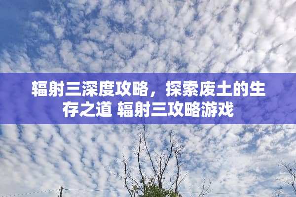 辐射三深度攻略，探索废土的生存之道 辐射三攻略游戏