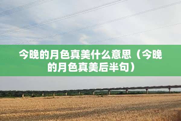 今晚的月色真美什么意思（今晚的月色真美后半句）