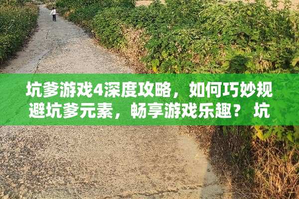 坑爹游戏4深度攻略，如何巧妙规避坑爹元素，畅享游戏乐趣？ 坑爹游戏4攻略4