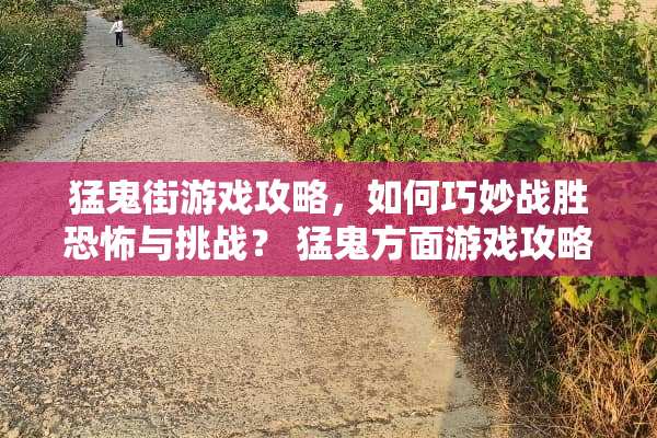 猛鬼街游戏攻略，如何巧妙战胜恐怖与挑战？ 猛鬼方面游戏攻略