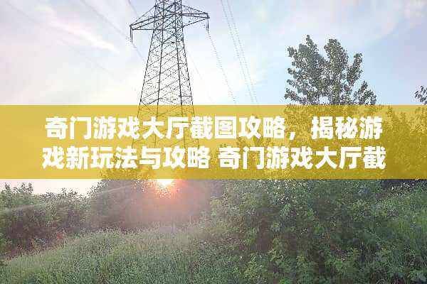 奇门游戏大厅截图攻略，揭秘游戏新玩法与攻略 奇门游戏大厅截图攻略