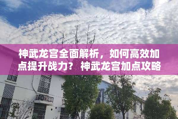 神武龙宫全面解析，如何高效加点提升战力？ 神武龙宫加点攻略