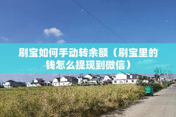 刷宝如何手动转余额（刷宝里的钱怎么提现到微信）