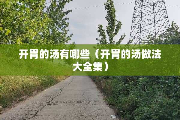 开胃的汤有哪些（开胃的汤做法大全集）
