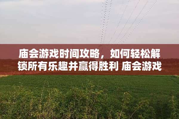 庙会游戏时间攻略，如何轻松解锁所有乐趣并赢得胜利 庙会游戏时间攻略