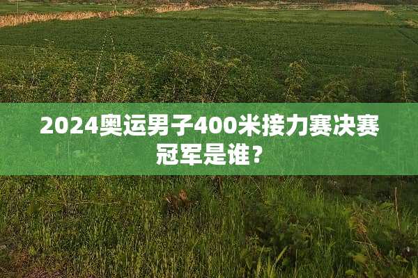 2024奥运男子400米接力赛决赛冠军是谁？