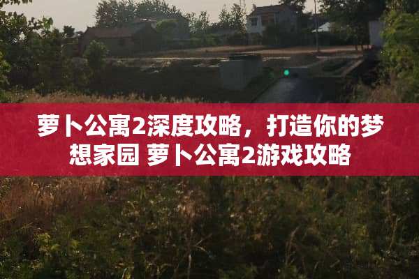 萝卜公寓2深度攻略，打造你的***园 萝卜公寓2游戏攻略