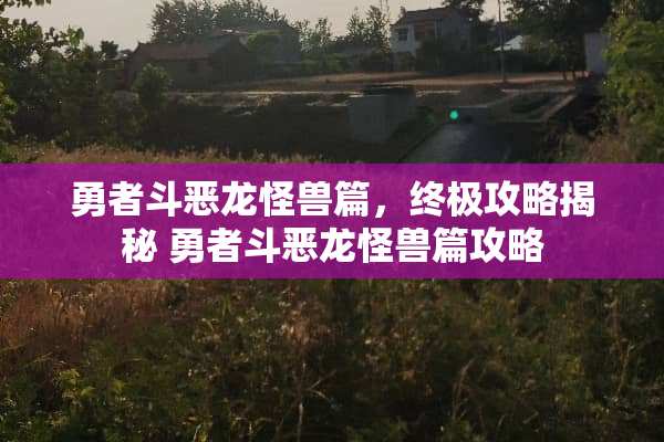 勇者斗恶龙怪兽篇，终极攻略揭秘 勇者斗恶龙怪兽篇攻略