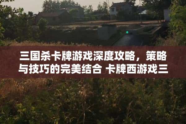 三国杀卡牌游戏深度攻略，策略与技巧的完美结合 卡牌西游戏三国攻略