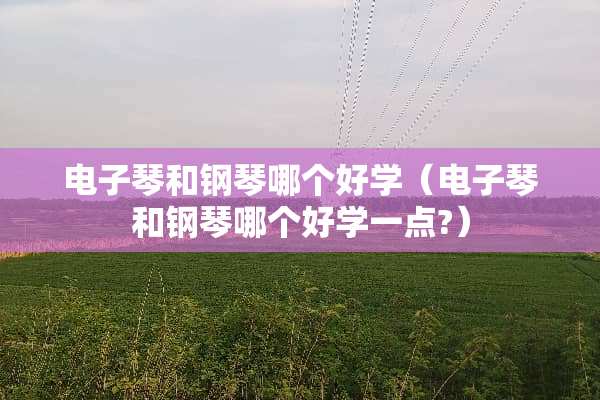 电子琴和钢琴哪个好学（电子琴和钢琴哪个好学一点?）
