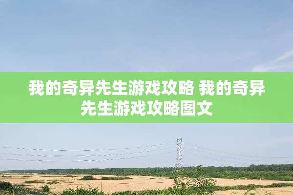我的奇异先生游戏攻略 我的奇异先生游戏攻略图文