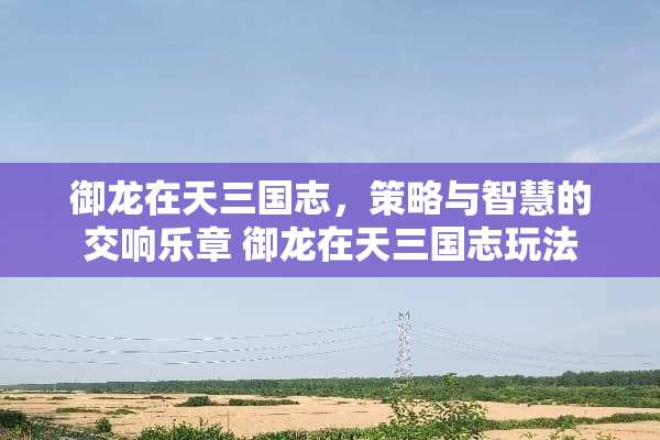 御龙在天三国志，策略与智慧的交响乐章 御龙在天三国志玩法