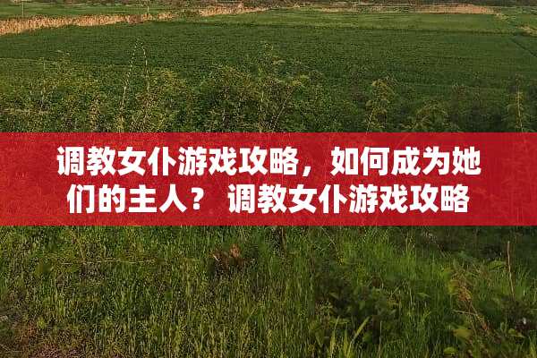 调教女仆游戏攻略，如何成为她们的主人？ 调教女仆游戏攻略