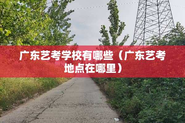 广东艺考学校有哪些（广东艺考地点在哪里）