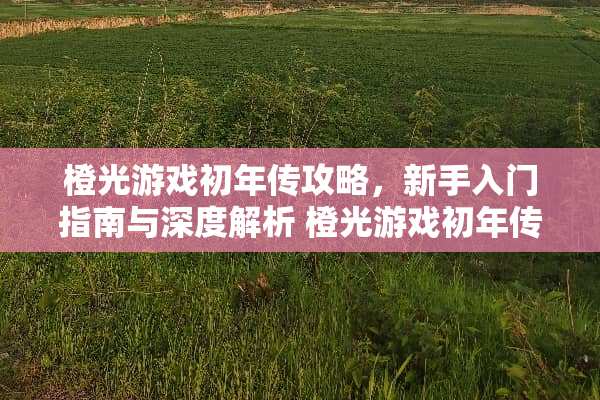 橙光游戏初年传攻略，新手入门指南与深度解析 橙光游戏初年传攻略