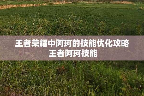 王者荣耀中阿珂的技能优化攻略 王者阿珂技能