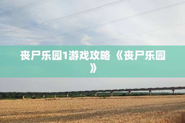 丧尸乐园1游戏攻略 《丧尸乐园》