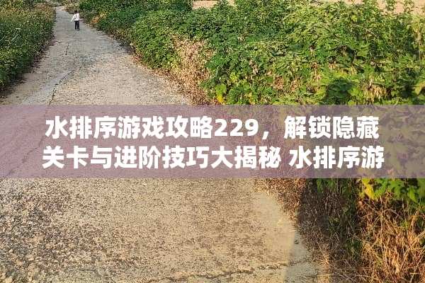 水排序游戏攻略229，解锁隐藏关卡与进阶技巧大揭秘 水排序游戏攻略229