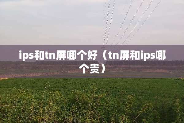 ips和tn屏哪个好（tn屏和ips哪个贵）
