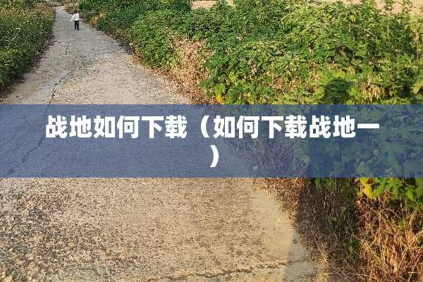 战地如何下载（如何下载战地一）