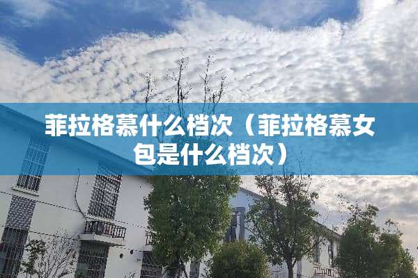 菲拉格慕什么档次（菲拉格慕女包是什么档次）
