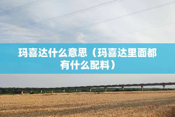 玛喜达什么意思（玛喜达里面都有什么配料）