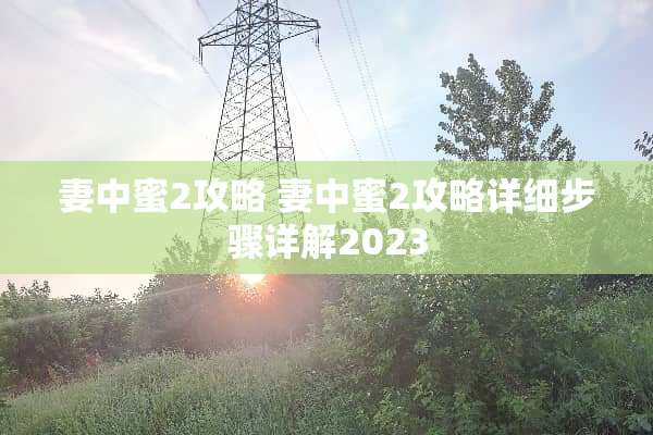 妻中蜜2攻略 妻中蜜2攻略详细步骤详解2023