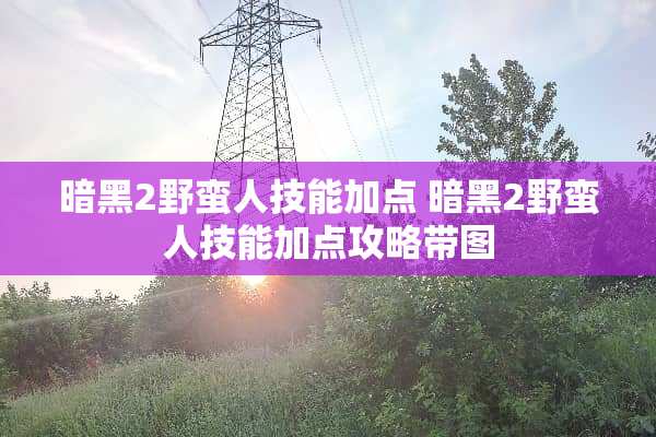 暗黑2野蛮人技能加点 暗黑2野蛮人技能加点攻略带图