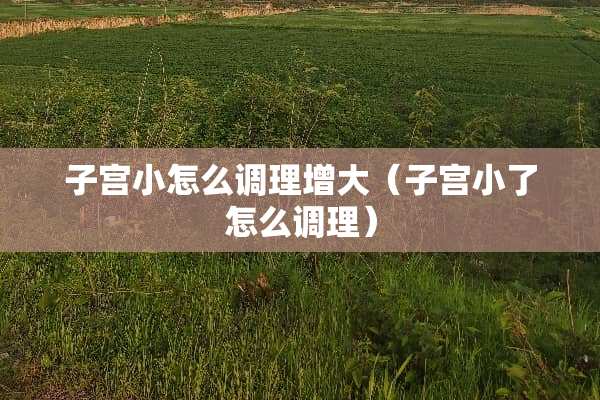 子宫小怎么调理增大（子宫小了怎么调理）