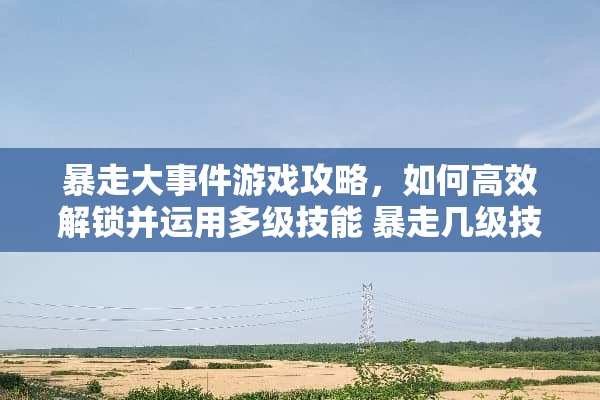 暴走大事件游戏攻略，如何高效解锁并运用多级技能 暴走几级技能