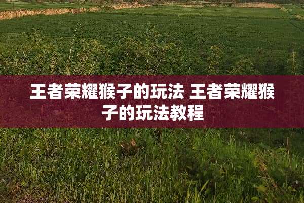 王者荣耀猴子的玩法 王者荣耀猴子的玩法教程
