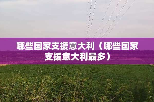 哪些国家支援意大利（哪些国家支援意大利最多）