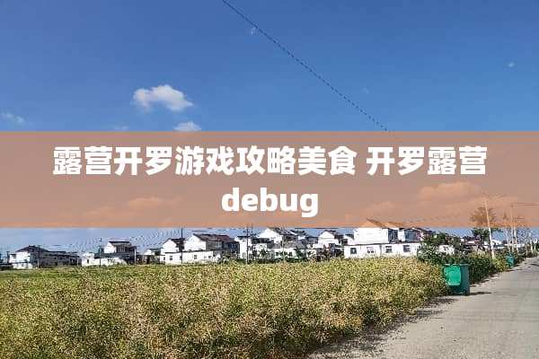 露营开罗游戏攻略美食 开罗露营debug