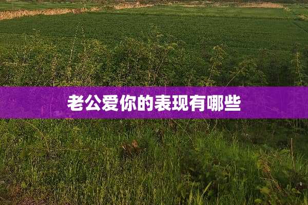 老公爱你的表现有哪些