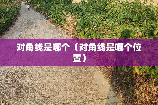 对角线是哪个（对角线是哪个位置）