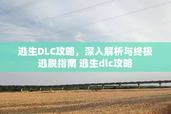 逃生DLC攻略，深入解析与终极逃脱指南 逃生dlc攻略